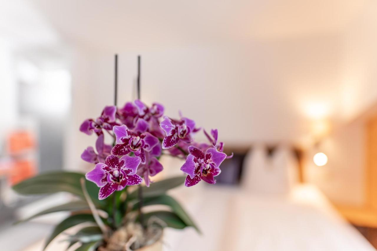 Wellnesshaus Reichelt Aparthotel Radstadt Bagian luar foto